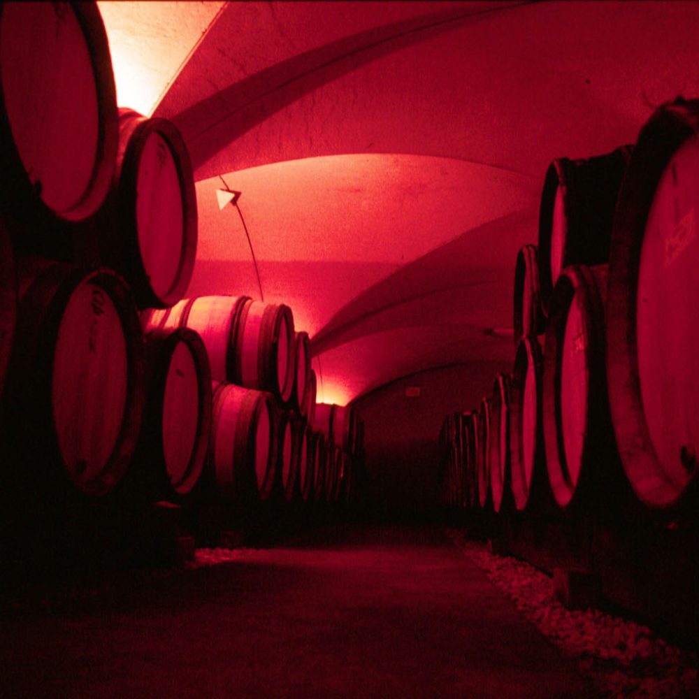 The Wine Oracle, a global leader in wine education